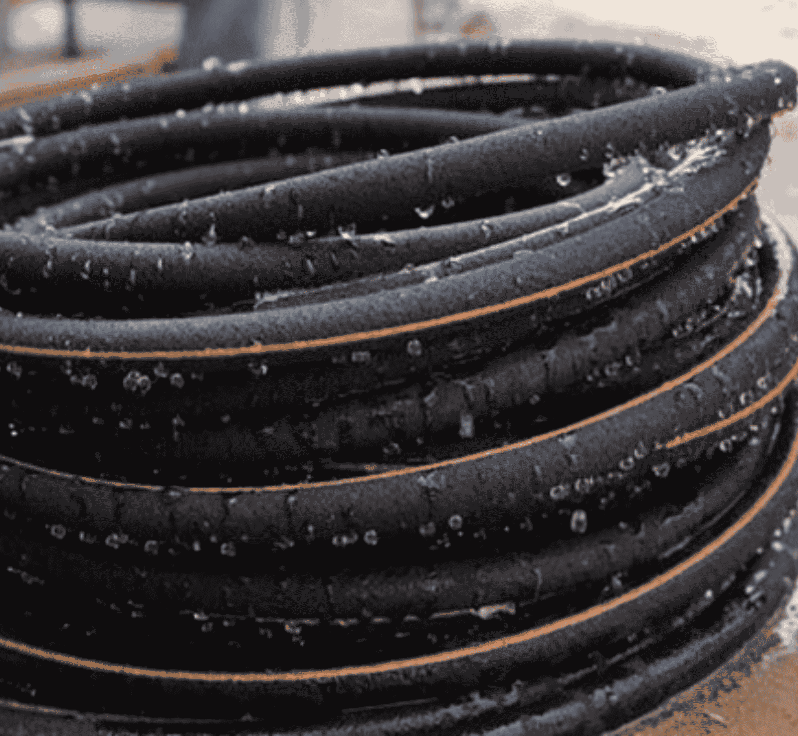 Experts in Pest Management