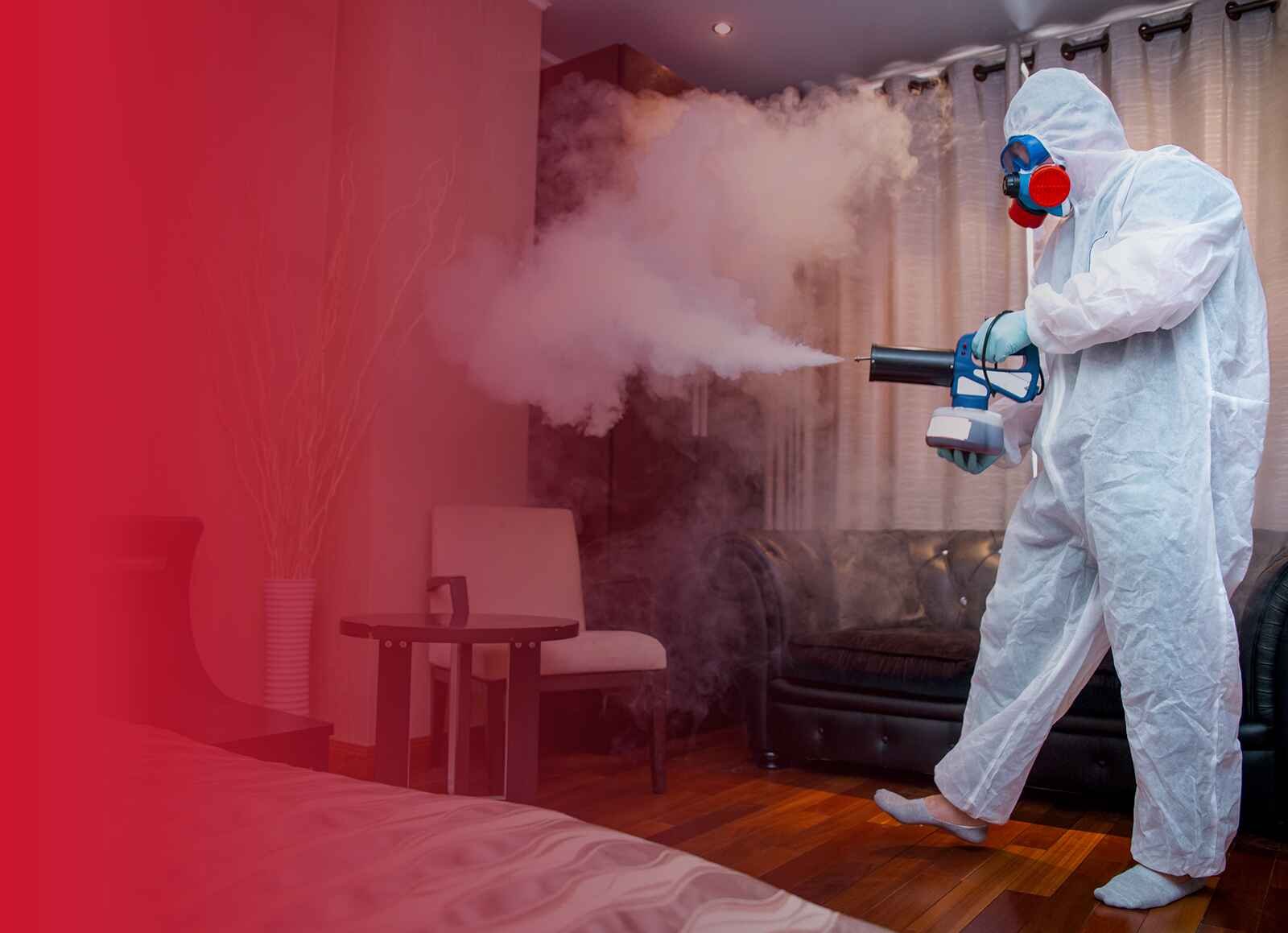 Applying the modern concept for cleaning services