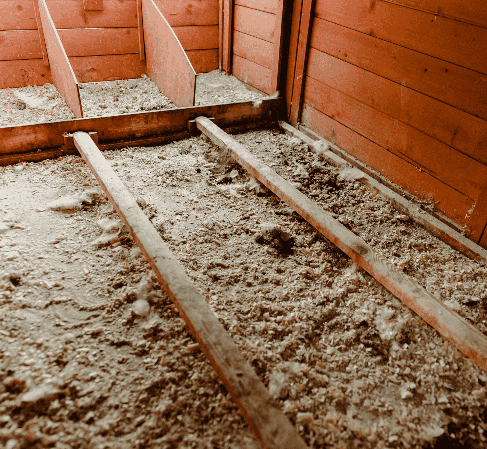 Experts in Pest Management